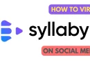 Syllaby